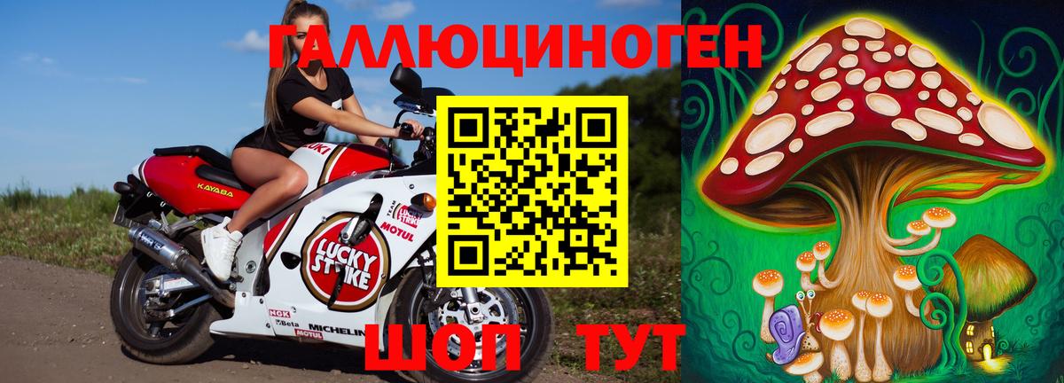 Вольск  Галлюциногенные грибы Psilocybe  Вход с VPN  Псилоцибиновые грибы прущие грибы 